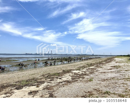 富津岬_潮干狩り_大潮_引き潮 103558648
