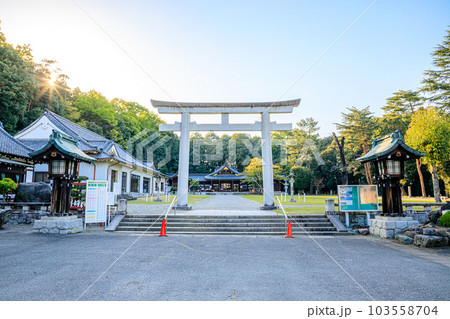 春の群馬縣護國神社 群馬県高崎市 春の群馬縣護國神社 群馬県高崎市 103558704