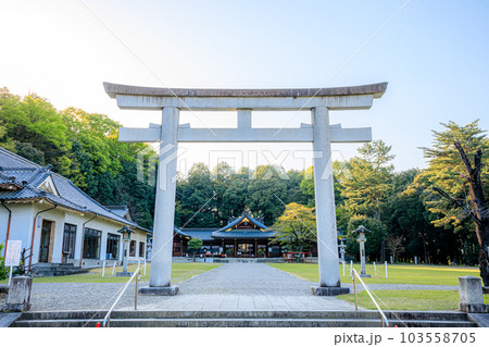 春の群馬縣護國神社　群馬県高崎市 103558705