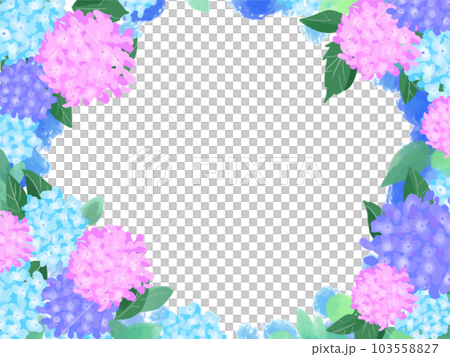 Hydrangea frame - Stock Illustration [103558827] - PIXTA