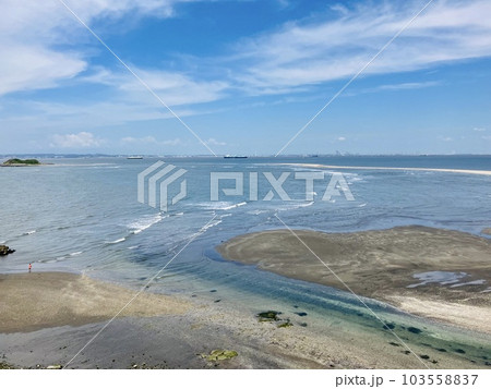 富津岬_富津岬から眺める潮干狩り日和の大潮で引き潮の東京湾砂浜 103558837
