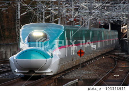 東北・北海道新幹線E5系 103558955
