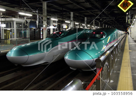 東北・北海道新幹線E5系 103558956