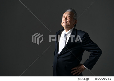 ビジネスマン シニア 社長 ビジネスマン シニア 社長 103559543