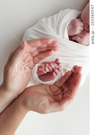 Feet of the newborn on the palms of the parents. Studio photography of a child's toes, heels and feet.The palms of the father, the mother are holding the foot of the newborn baby in a white blanket.  103560547