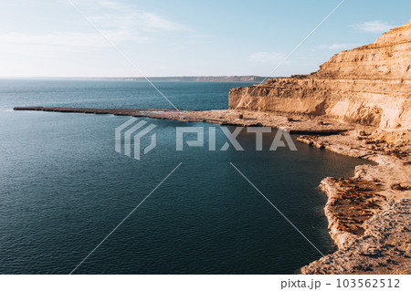 Panoramic view of Punta Piramides in Valdes Peninsula with a sealions colony. Argentine Patagonia. 103562512