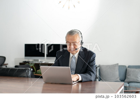 ビジネス　シニア　ヘッドセット　オンライン 103562603