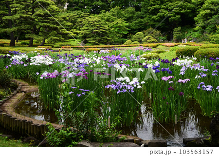 皇宮の庭園 103563157