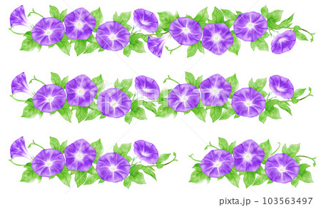 アナログ水彩風の朝顔(紫色)の飾り罫線セット アナログ水彩風の朝顔(紫色)の飾り罫線セット 103563497