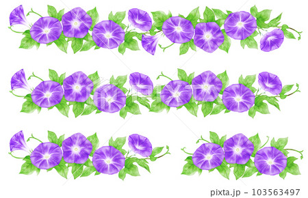 アナログ水彩風の朝顔(紫色)の飾り罫線セット 103563497