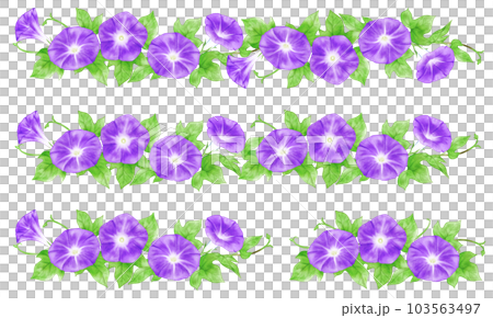 アナログ水彩風の朝顔(紫色)の飾り罫線セット 103563497