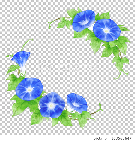 Watercolor hand-painted morning glory (dark blue) circular frame Watercolor hand-painted morning glory (dark blue) circular frame 103563647
