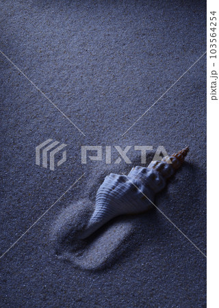 深夜の砂浜と埋まりかけた貝殻 103564254