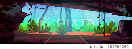 Jungle cave with cobweb on walls 103564260