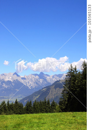 Alps mountains in Tirol, Austria. Aerial view of idyllic mountain scenery in Alps with green grass and fur-trees on sunny day 103565133