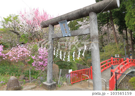 東京都八王子市田守神社 103565159