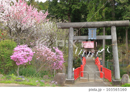 東京都八王子市田守神社 東京都八王子市田守神社 103565160