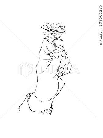 小さな花を持った手の線画イラスト 103565285