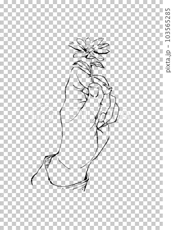 小さな花を持った手の線画イラスト 103565285