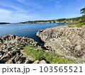 福井県東尋坊の高く鋭い岩肌 103565521