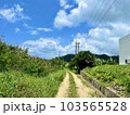 石垣島の美しい青空と自然の道 103565528