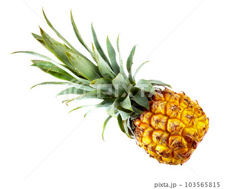 Ripe pineapple isolated on white. Ripe pineapple isolated on white. 103565815