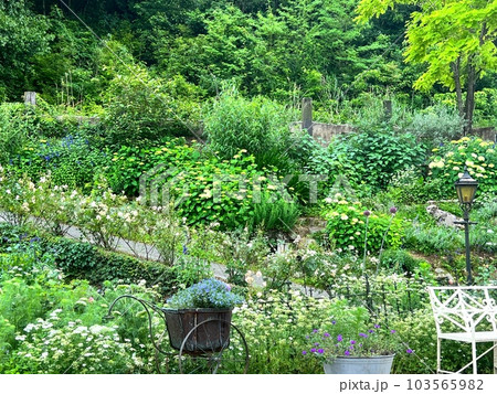 花と緑があふれる庭 103565982
