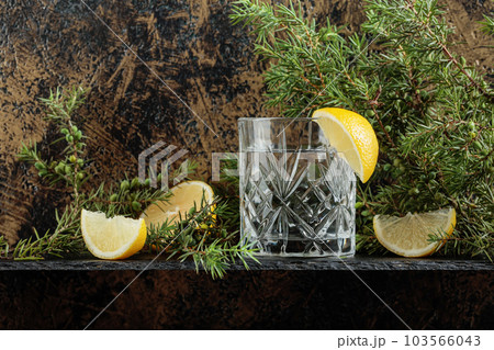 Gin , tonic with slices of lemon and a sprig of juniper . Gin , tonic with slices of lemon and a sprig of juniper . 103566043