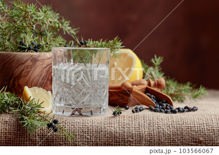Cocktail gin, tonic with lemon and a branch of juniper with berries. 103566067