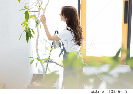 お店の観葉植物に水やりをする女性 お店の観葉植物に水やりをする女性 103566353