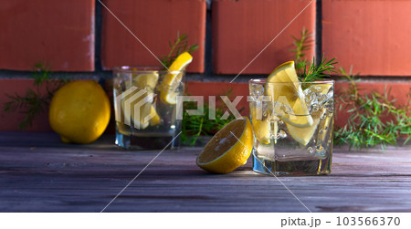 alcoholic drink with lemon and ice 103566370