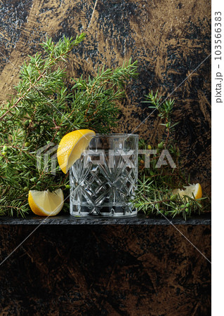 Gin , tonic with slices of lemon and a sprig of juniper . 103566383