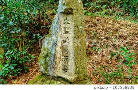 京都、円山聖天堂の石塔 103566939