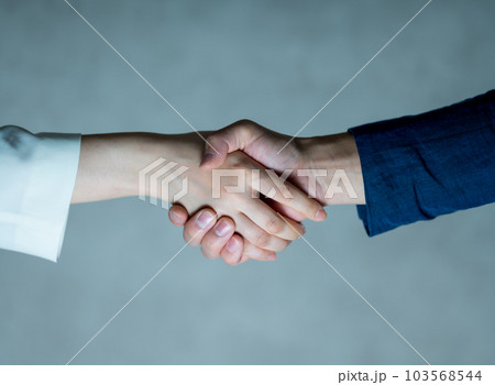 握手をするビジネスパーソン 103568544