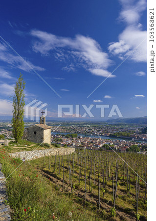 Grand cru vineyard and Chapel of Saint Christopher, Tain l'Hermitage, Rhone-Alpes, France Grand cru vineyard and Chapel of Saint Christopher, Tain l'Hermitage, Rhone-Alpes, France 103568621