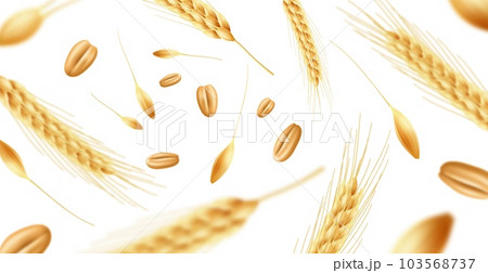 Realistic wheat ears background. Flying ripe spikelets with grains and seeds, focus and defocus, organic food agricultural culture, bakery and beer banner backdrop. Utter vector concept 103568737