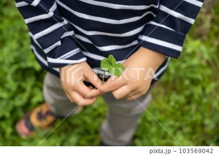 Image photo 103569042