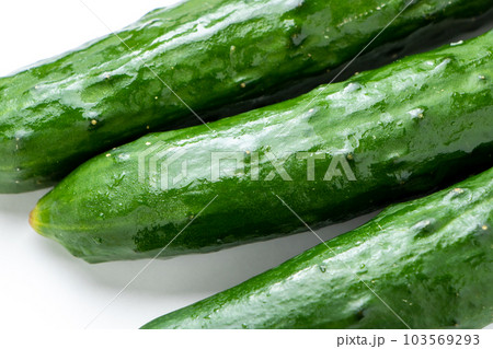 夏野菜の定番「きゅうり」のアップ。 103569293