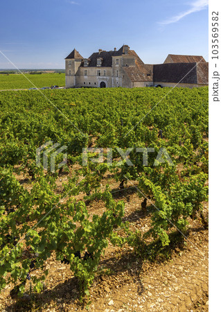 Clos de Vougeot castle, Cote de Nuits, Burgundy, France Clos de Vougeot castle, Cote de Nuits, Burgundy, France 103569582
