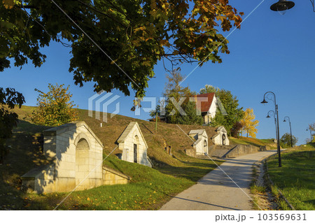 Traditional wine cellars in Tolcsva, Great Plain, North Hungary Traditional wine cellars in Tolcsva, Great Plain, North Hungary 103569631
