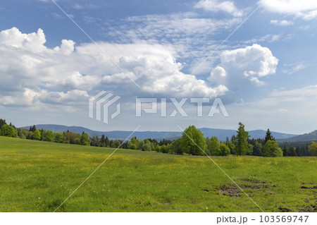 Typicallandscape near Modrava, Nation park Sumava, Czech Republic Typicallandscape near Modrava, Nation park Sumava, Czech Republic 103569747