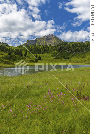 Landscapes near Kalbelesee, Hochtann Mountain Pass, Warth, Vorarlberg, Austria 103569751