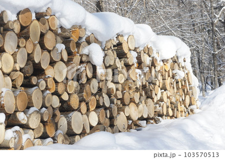 積み上げられた丸太 103570513