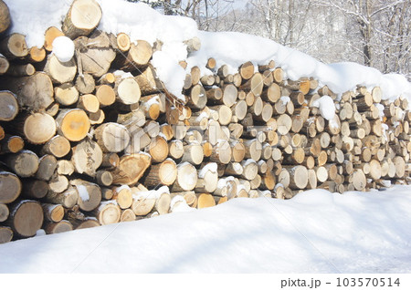 積み上げられた丸太 積み上げられた丸太 103570514