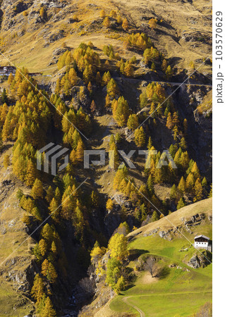 Texelgruppe nature park (Parco Naturale Gruppo di Tessa) near Timmelsjoch - high Alpine road, South Tyrol, Italy 103570629