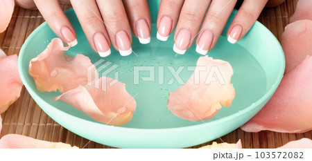 Female fingers with French manicure, blue bowl with water and rose pentals around, selected focus. 103572082