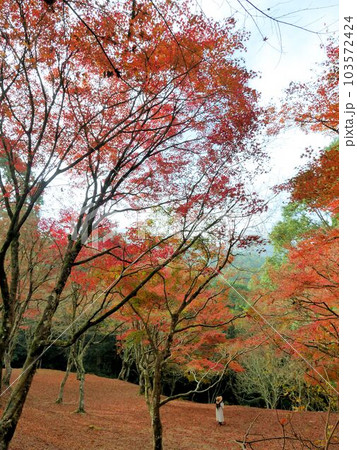 熊本県人吉市麓城跡 紅葉も持ちと子供 熊本県人吉市麓城跡 紅葉も持ちと子供 103572424