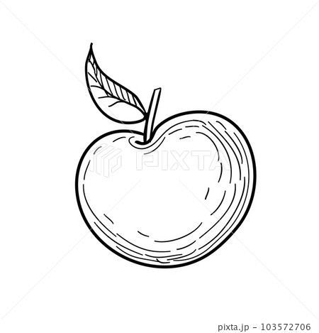 Apple ink sketch. 103572706