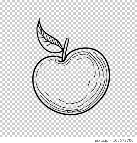 Apple ink sketch. 103572706
