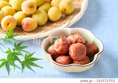 梅干しと完熟梅(紀州南高梅) 梅干しと完熟梅(紀州南高梅) 103572753